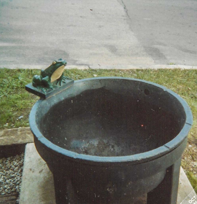 Frog Fountain 1985 | Little Falls Historical Society Museum