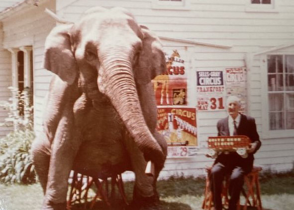 1974 Milo holding his carved “Smith Bros Circus Red Caboose” alongside Marie, his favorite elephant on the side lawn at the Smith Brothers Farm